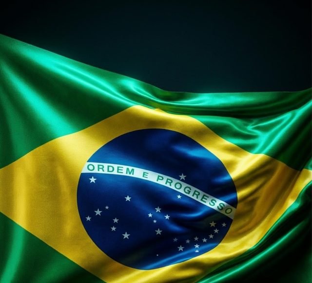 Virales de Brasil